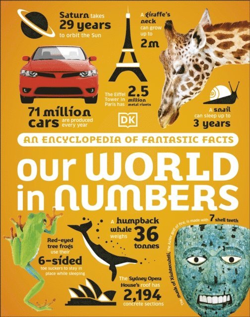 DK - Our World in Numbers, E-bok