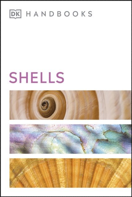 S. Peter Dance - Shells, E-bok