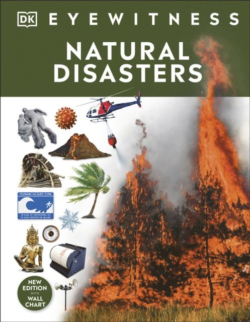 DK - Natural Disasters, E-bok