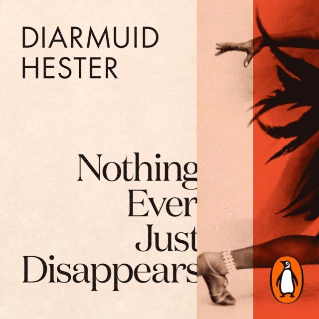 Diarmuid Hester - Nothing Ever Just Disappears, Ljudbok