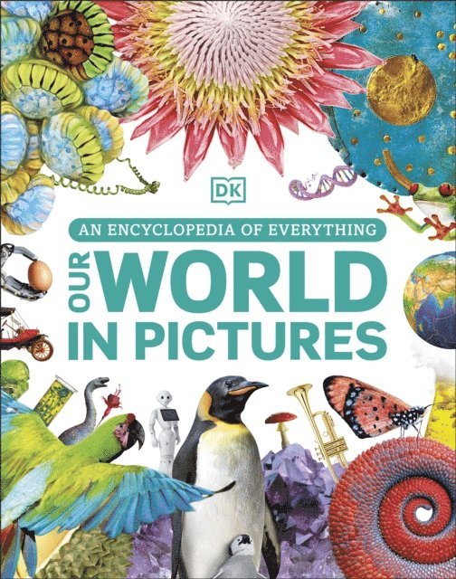 DK - Our World in Pictures, E-bok