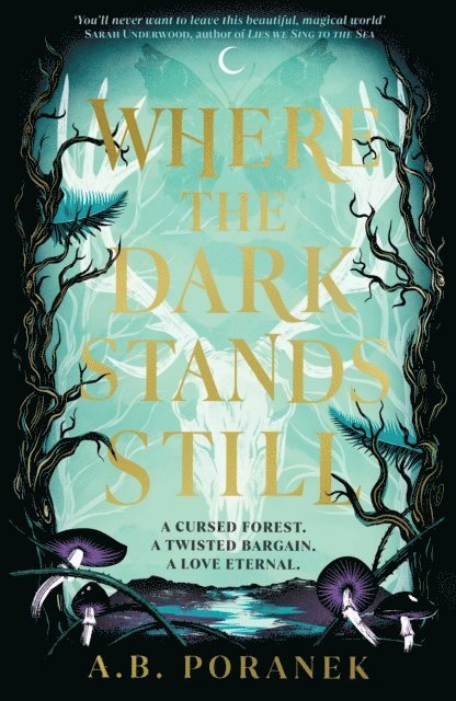 A. B. Poranek - Where the Dark Stands Still, E-bok