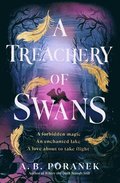A Treachery of Swans