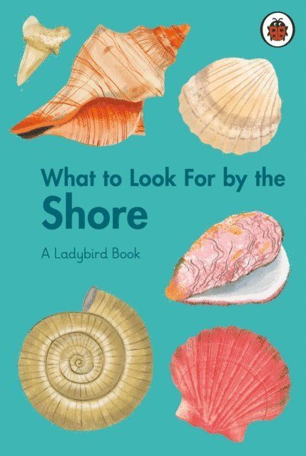 Becky Brown - What to Look For by the Shore, E-bok