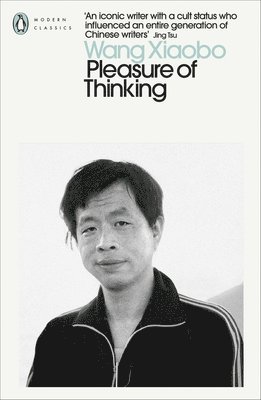 Wang Xiaobo - Pleasure of Thinking, Häftad