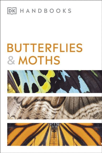 David Carter - Butterflies and Moths, E-bok
