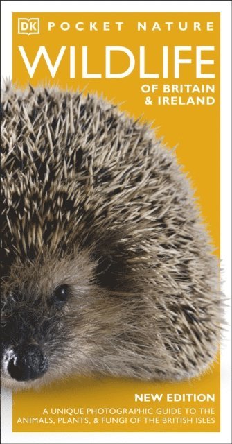 DK - Pocket Nature Wildlife of Britain and Ireland, E-bok