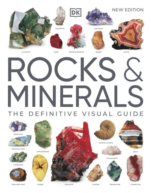 DK - Rocks & Minerals, E-bok