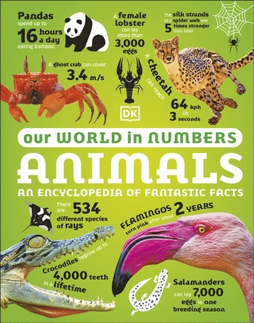 DK - Our World in Numbers Animals, E-bok