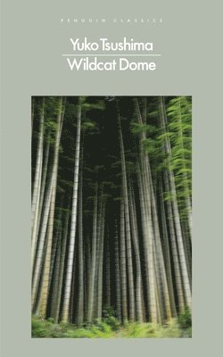 Wildcat Dome av Yuko Tsushima
