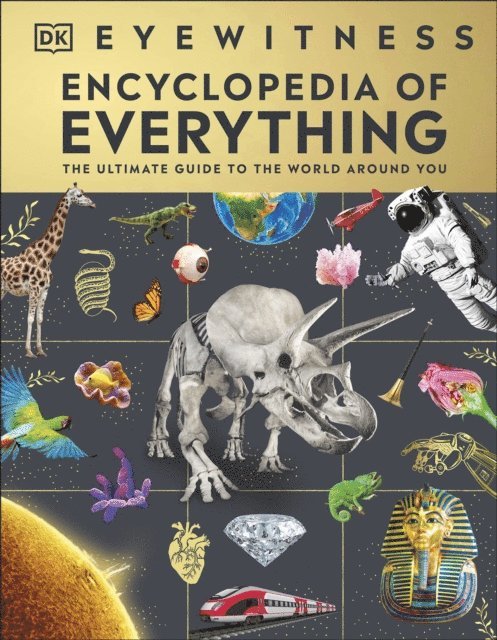 DK - Eyewitness Encyclopedia of Everything, E-bok