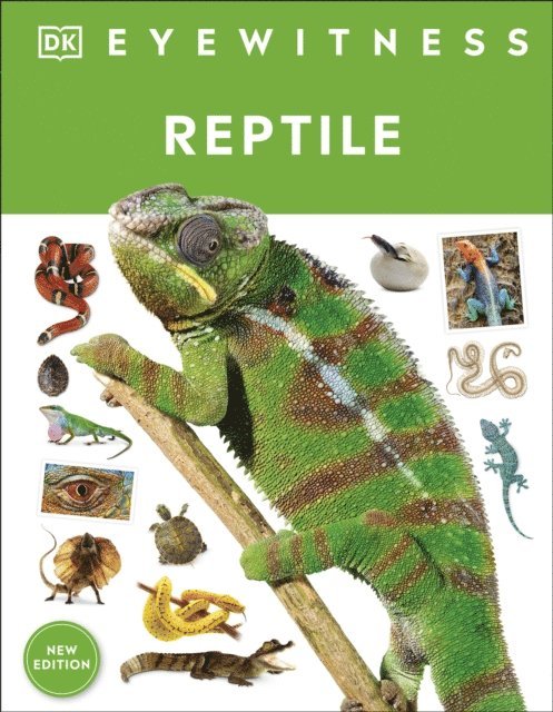 Colin McCarthy - Reptile, E-bok
