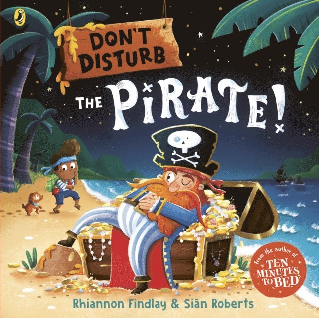 Rhiannon Findlay - Don’t Disturb The Pirate, E-bok
