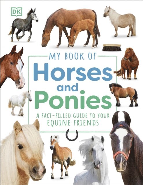 DK - My Book of Horses and Ponies, E-bok