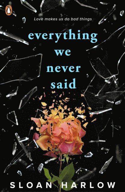 Sloan Harlow - Everything We Never Said, E-bok
