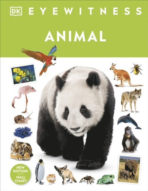 DK - Animal, E-bok