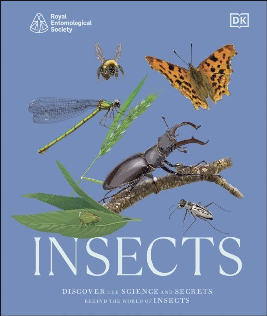 DK - RES Insects, E-bok
