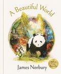 Beautiful World