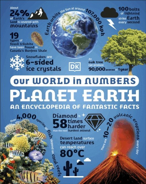 DK - Our World in Numbers Planet Earth, E-bok