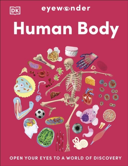 DK - Eyewonder Human Body, E-bok