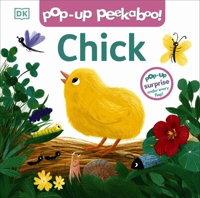 Pop-up Peekaboo! Chick
