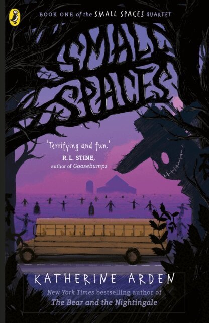 Katherine Arden - Small Spaces, E-bok