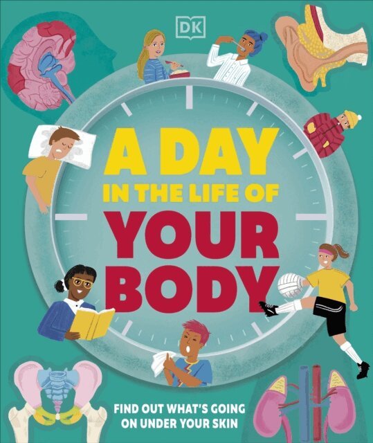 Day in the Life of Your Body