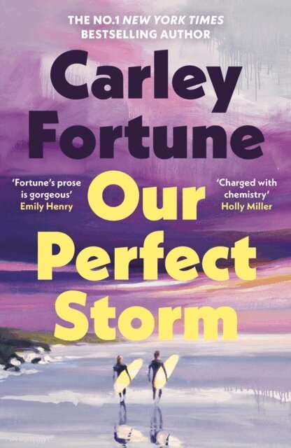 Carley Fortune - Our Perfect Storm, E-bok