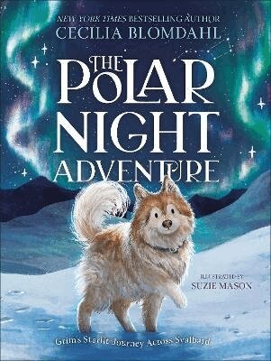 Polar Night Adventure
