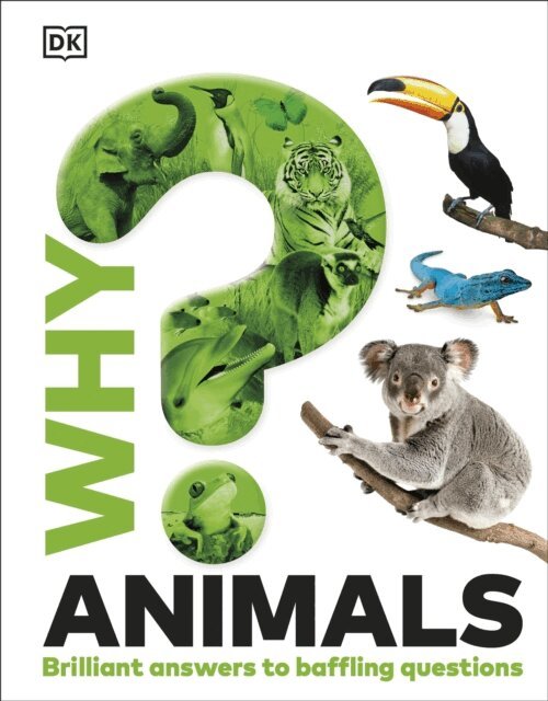 DK - Why? Animals, E-bok