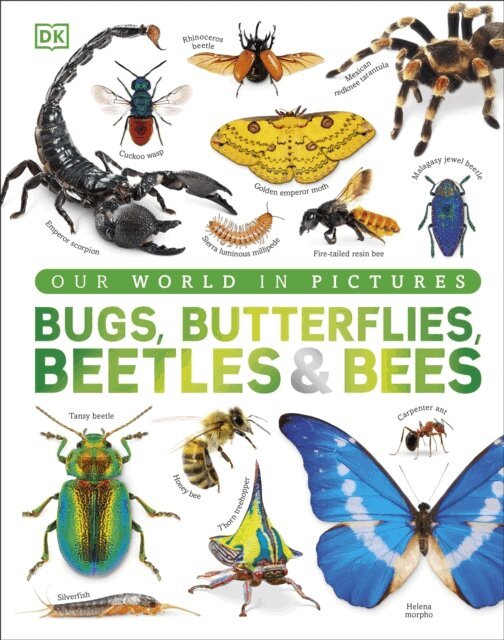 DK - Bugs, Butterflies, Beetles and Bees, E-bok