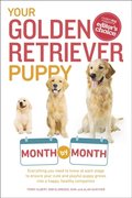 Your Golden Retriever Puppy Month by Month