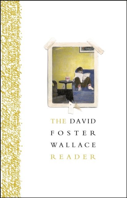 David Foster Wallace - David Foster Wallace Reader, E-bok