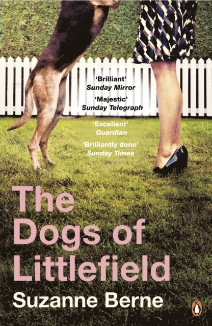 Suzanne Berne - Dogs of Littlefield, E-bok