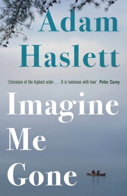 Adam Haslett - Imagine Me Gone, E-bok