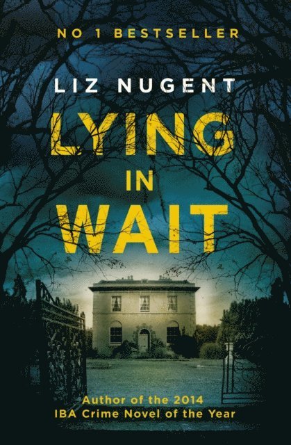 Liz Nugent - Lying in Wait, E-bok