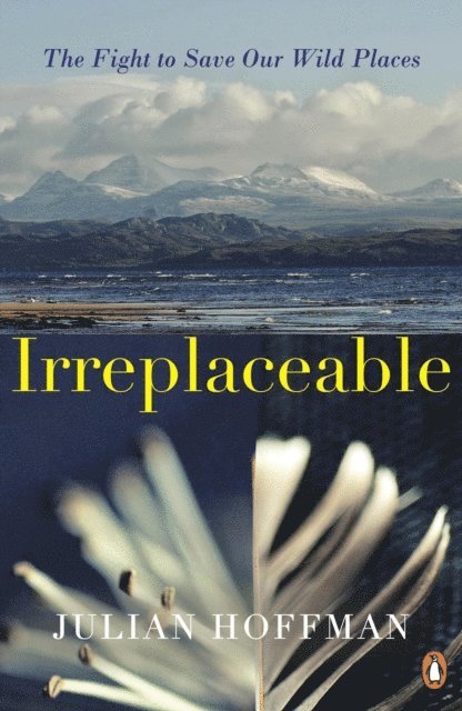 Julian Hoffman - Irreplaceable, E-bok
