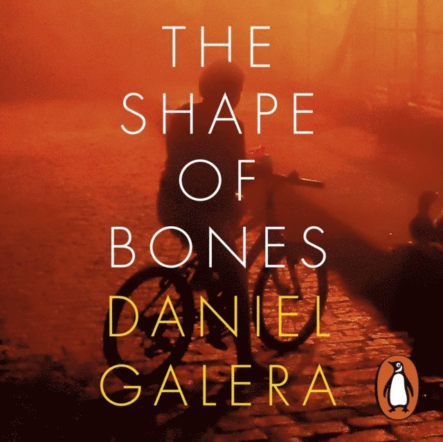 Daniel Galera - Shape of Bones, Ljudbok
