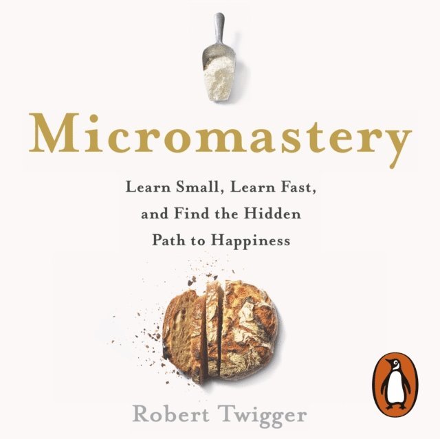 Robert Twigger - Micromastery, Ljudbok