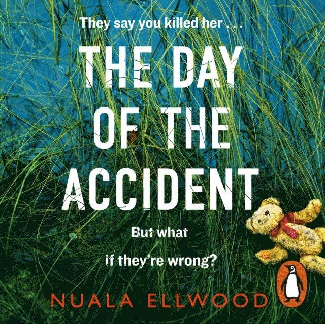 Nuala Ellwood - Day of the Accident, Ljudbok