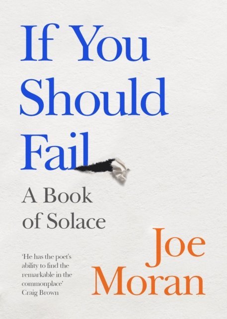 Joe Moran - If You Should Fail, E-bok