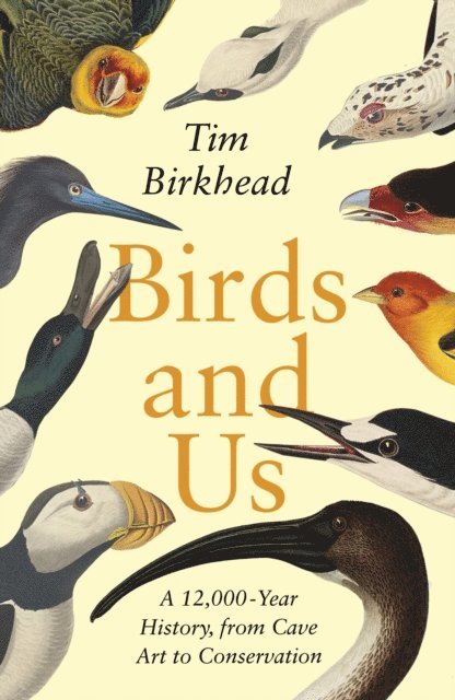 Tim Birkhead - Birds and Us, E-bok