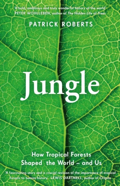 Patrick Roberts - Jungle, E-bok