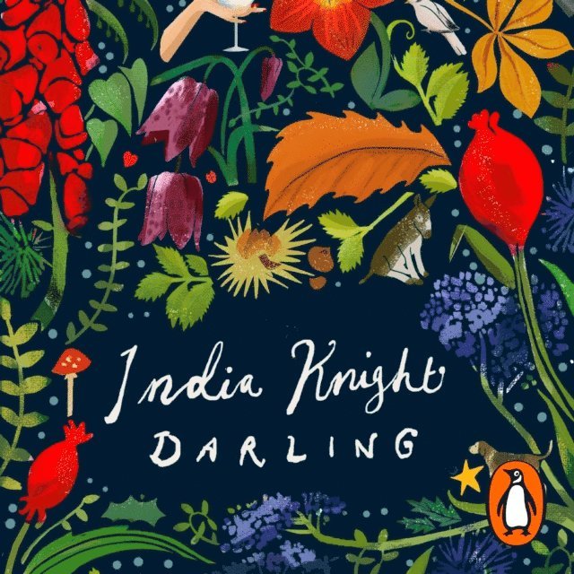 India Knight - Darling, Ljudbok