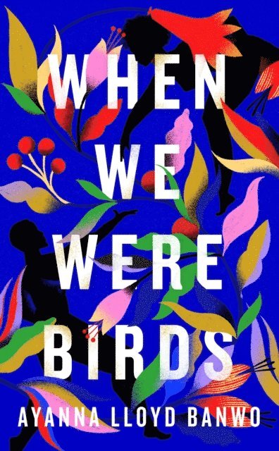 Ayanna Lloyd Banwo - When We Were Birds, E-bok