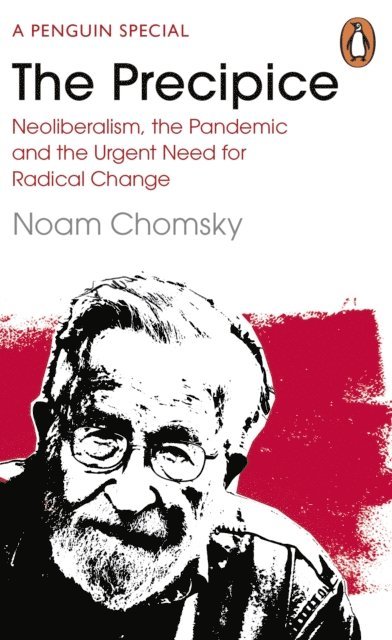 Noam Chomsky, C. J. Polychroniou - Precipice, E-bok