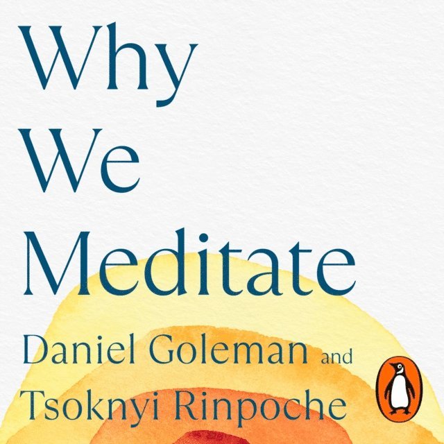 Tsoknyi Rinpoche, Daniel Goleman - Why We Meditate, Ljudbok