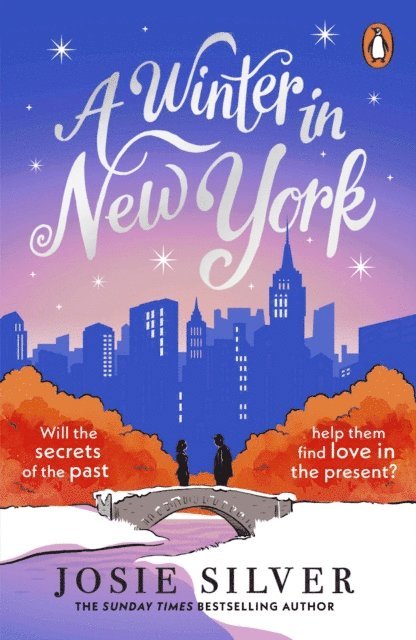 Josie Silver - Winter in New York, E-bok