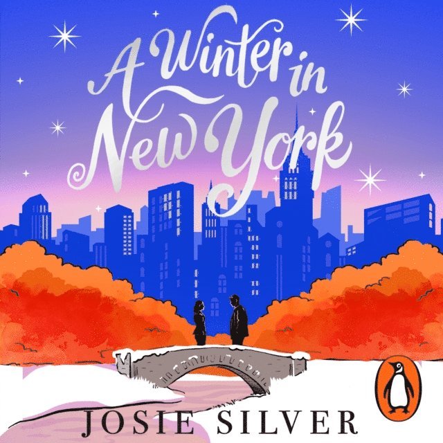 Josie Silver - Winter in New York, Ljudbok