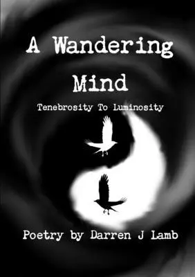 Darren J Lamb - Wandering Mind Tenebrosity to Luminosity, Häftad. Tillgänglighet: Lägg i varukorg